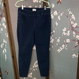 Lane Bryant Dark Blue Women's Jeggings